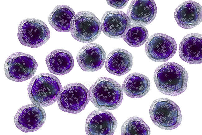 Цифрова ілюстрація злоякісних B-клітинних лімфоцитів у лімфомі Беркітта . — стокове фото