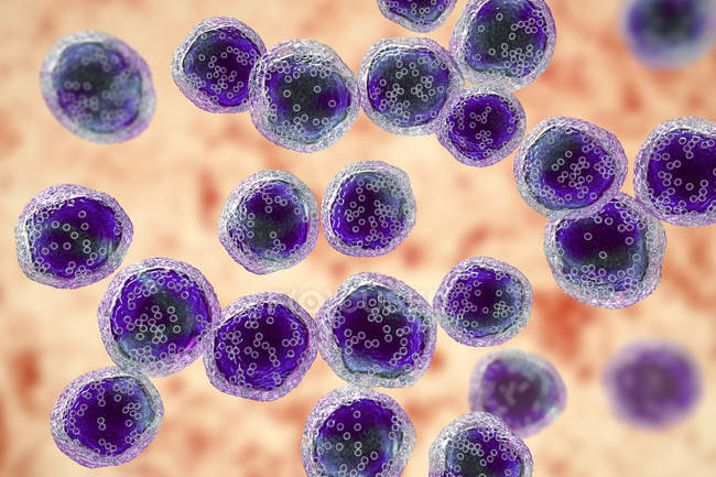Цифровий ілюстрація злоякісні B-клітинної лімфоцитів у Burkitt лімфоми. — стокове фото