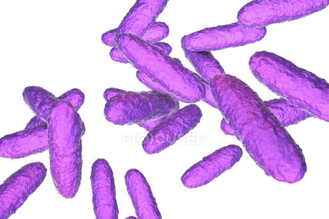 Illustrazione digitale dei batteri Klebsiella granulomatis che causano ulcera genitale in caso di infezione da donovanosi . — Foto stock
