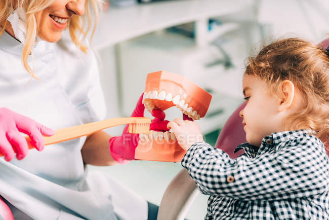 Petite fille à la clinique dentaire apprendre à se brosser les dents correctement avec orthodontiste femelle . — Photo de stock