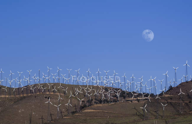 Wind farm with turbines under blue sky and moon, Tehachapi, California, USA. — Stock Photo