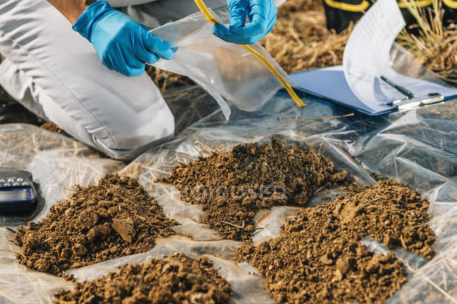 Agronomist opening soil sample bag in field. — Stock Photo