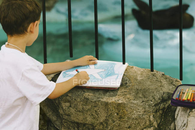 Заднього виду маленького хлопчика малюнок полон печаткою в зоопарку. — стокове фото