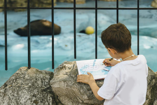 Visão traseira do menino desenhando selo cativo no zoológico . — Fotografia de Stock