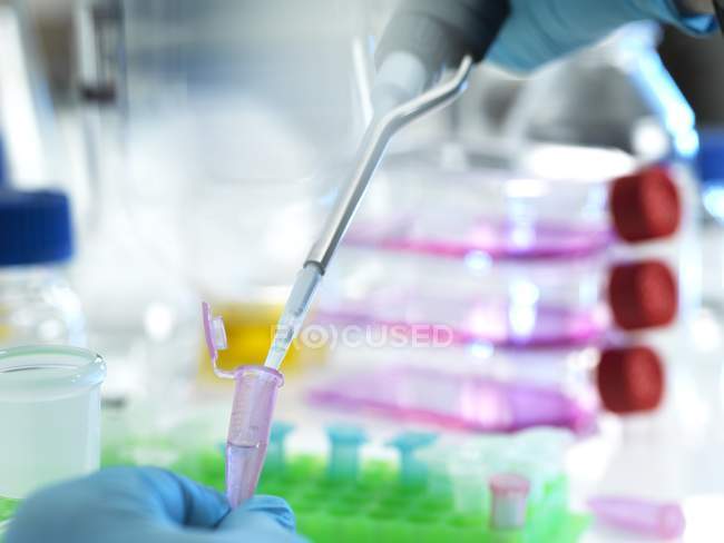 Close-up of scientist pipetting sample into eppendorf tube during experiment in laboratory. — Stock Photo