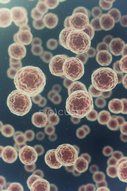 Cellules cancéreuses en forme de sphère, illustration numérique . — Photo de stock