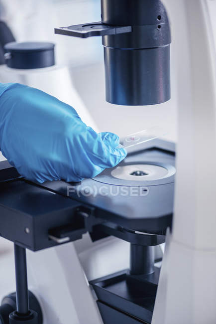 Hands of scientist researching sample on microscope slide under light microscope. — Stock Photo