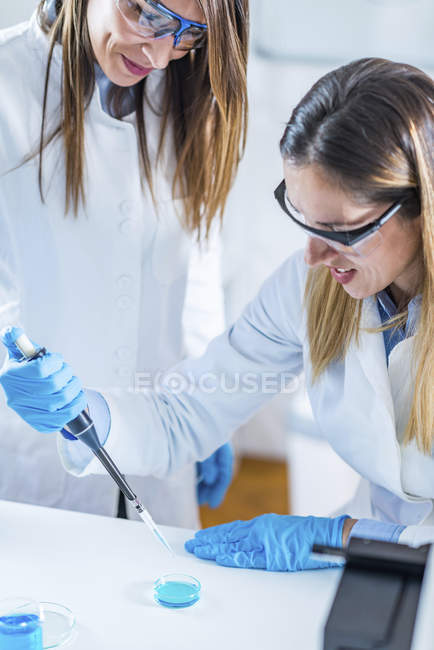 Técnicos de ciências da vida usando micropipeta em laboratório . — Fotografia de Stock