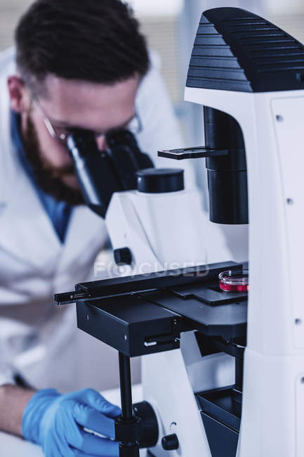 Junge männliche Forscher betrachten Probe unter dem Mikroskop im Labor. — Stockfoto