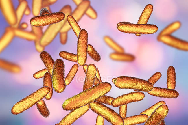 Жовті паличкоподібні бактерії Citrobacter, цифрові ілюстрації. — стокове фото
