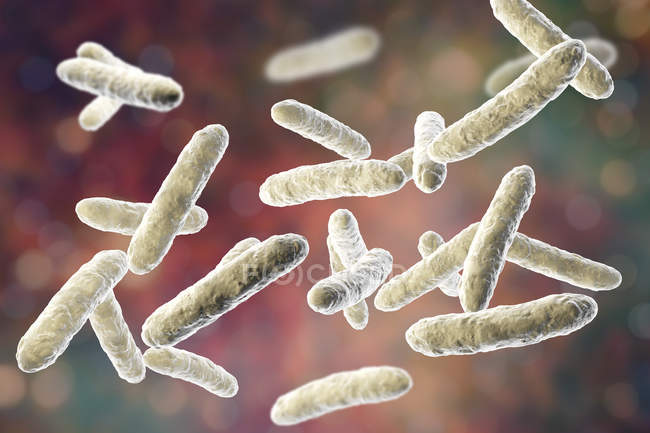 Bactéries probiotiques dans le microbiote intestinal normal, illustration numérique . — Photo de stock