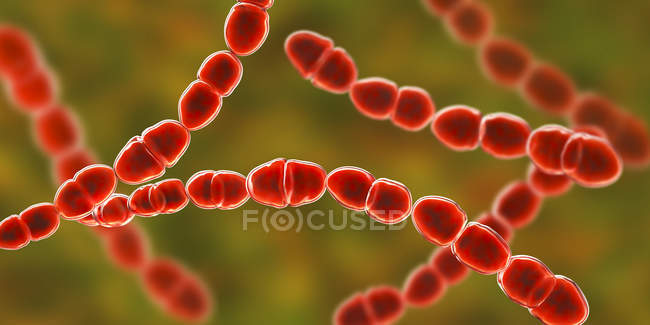 Ilustración digital de la bacteria Streptococcus thermophilus de color rojo para la industria láctea alimentaria
. - foto de stock