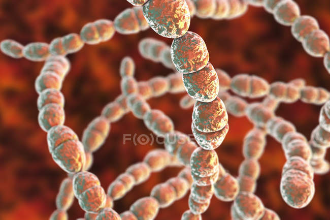 Ilustración digital de la bacteria Streptococcus thermophilus para la industria láctea alimentaria
. - foto de stock
