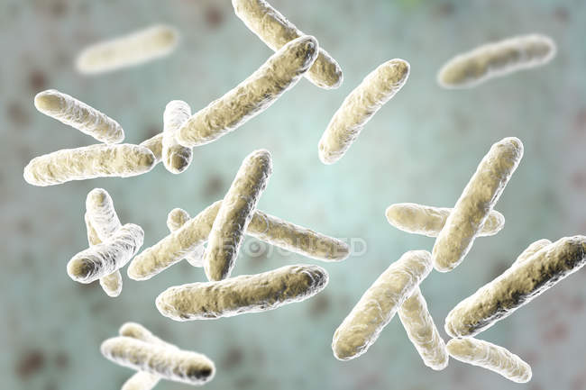 Probiotic bacteria in normal intestinal microbiota, digital illustration. — Stock Photo