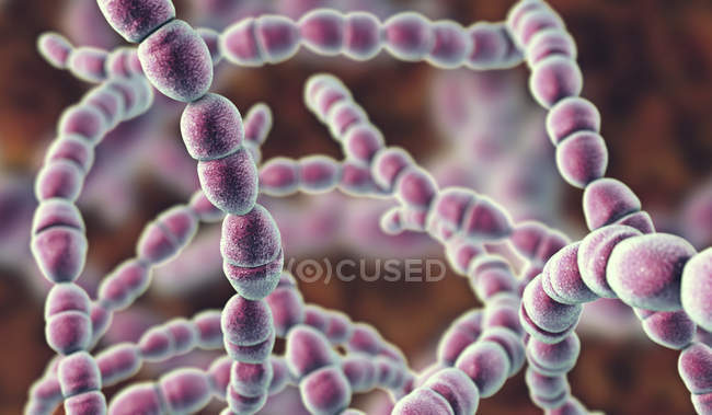 Цифрова ілюстрація термофікока-бактерій для молочної промисловості. — стокове фото