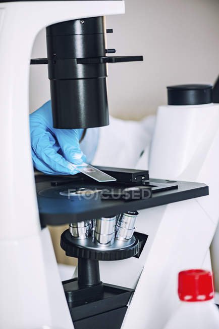 Main du scientifique recherchant l'échantillon sur la glissière de microscope sous microscope optique
. — Photo de stock