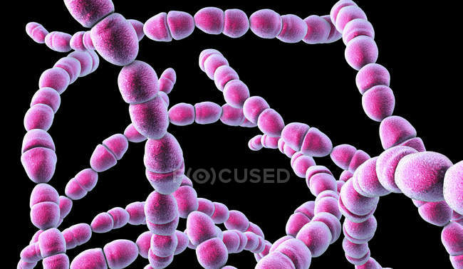 Цифрова ілюстрація термофікока-бактерій для молочної харчової промисловості на чорному фоні. — стокове фото