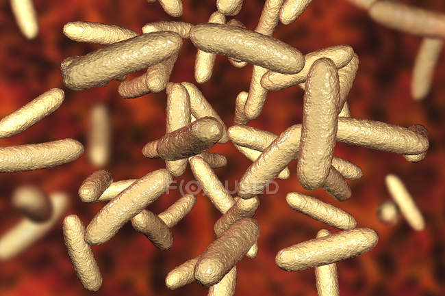 Bactérias Citrobacter amarelas em forma de bastonete, ilustração digital . — Fotografia de Stock