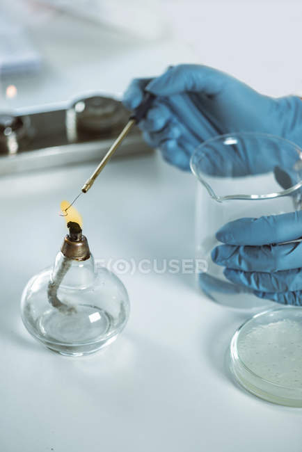 Nahaufnahme der Hände eines Mikrobiologen beim Sterilisieren der Impfschleife. — Stockfoto