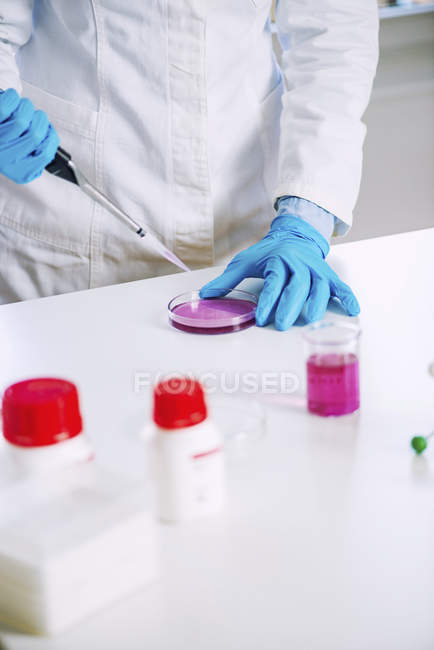Laboratory technician with micro pipette sampling into petri dish. — Stock Photo