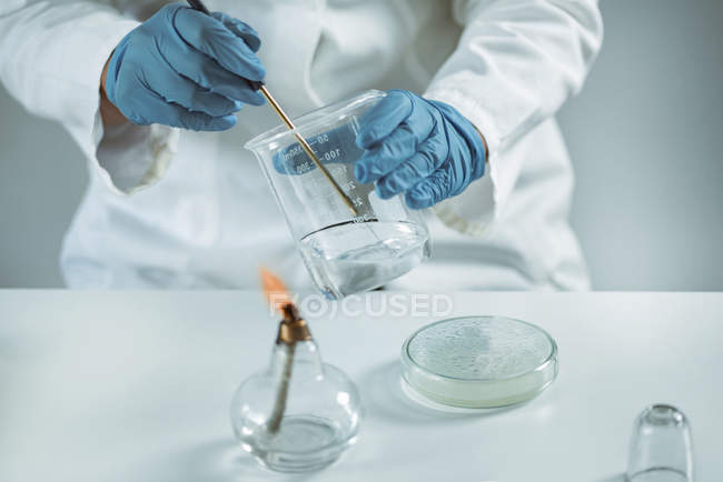 Midsection of female microbiologist taking sample with inoculation loop. — Stock Photo