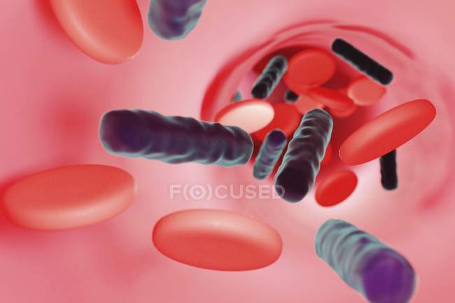 Illustration numérique des bactéries bleues dans la circulation sanguine . — Photo de stock