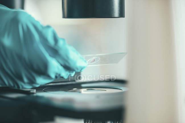 Scientist hand placing sample on slide under microscope. — Stock Photo