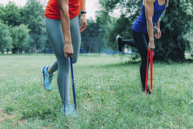 Низький розділ жіночих друзів тренування з гумкою в зелений парк. — стокове фото