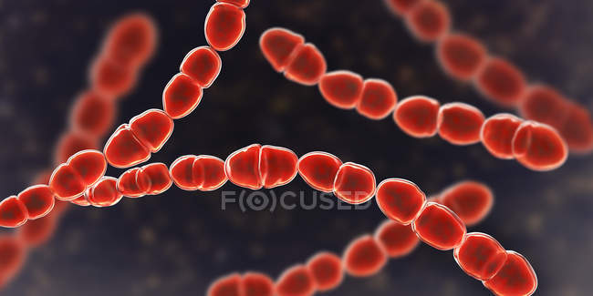 Illustrazione digitale dei batteri colorati rossi Streptococcus thermophilus per l'industria lattiero-casearia . — Foto stock