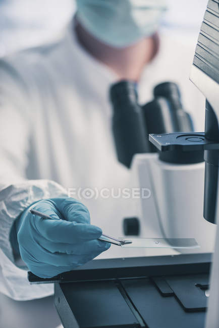 Microbióloga femenina usando microscopio de luz en laboratorio
. - foto de stock