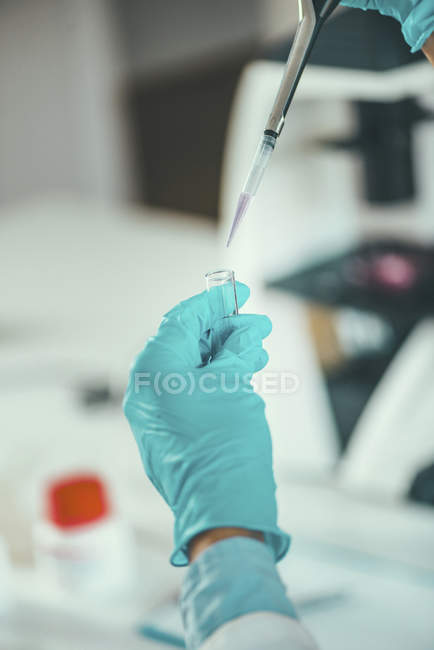 Mão do técnico do laboratório com a amostragem da micro pipeta no tubo de ensaio . — Fotografia de Stock