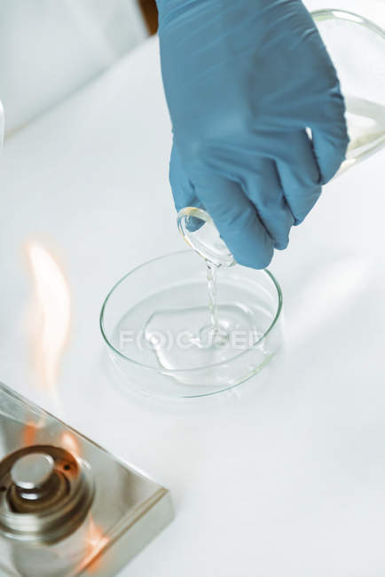 Hand of microbiologist pouring agar into petri dish. — Stock Photo