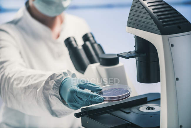 Microbiólogo usando microscopio de luz en laboratorio - foto de stock