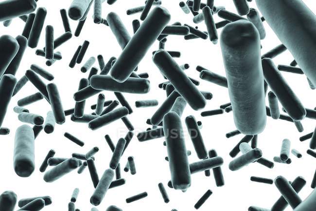 Illustrazione digitale di batteri blu a forma di asta su sfondo bianco
. — Foto stock