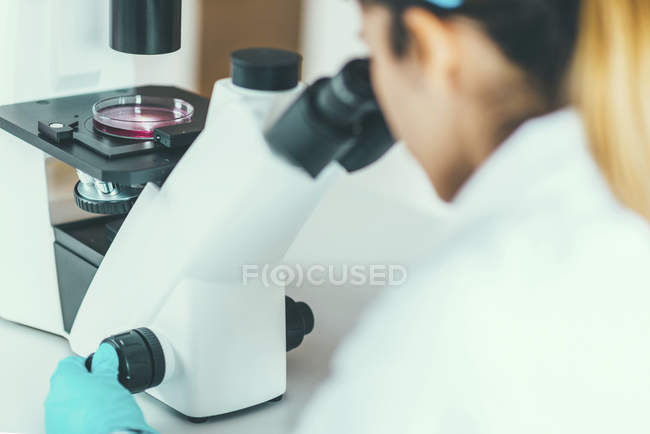 Женщина-ученый исследует образец в чашке Петри под световым микроскопом
. — стоковое фото