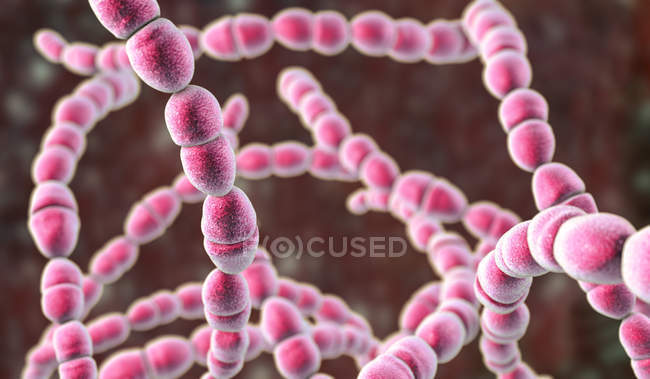 Цифрова ілюстрація термофікока-бактерій для молочної промисловості. — стокове фото