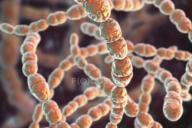 Illustration numérique de la bactérie Streptococcus thermophilus pour l'industrie alimentaire laitière . — Photo de stock