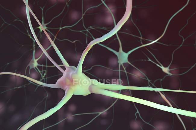 Neuronale Netzwerkverbindungen und Nervenzellen, digitale Illustration. — Stockfoto