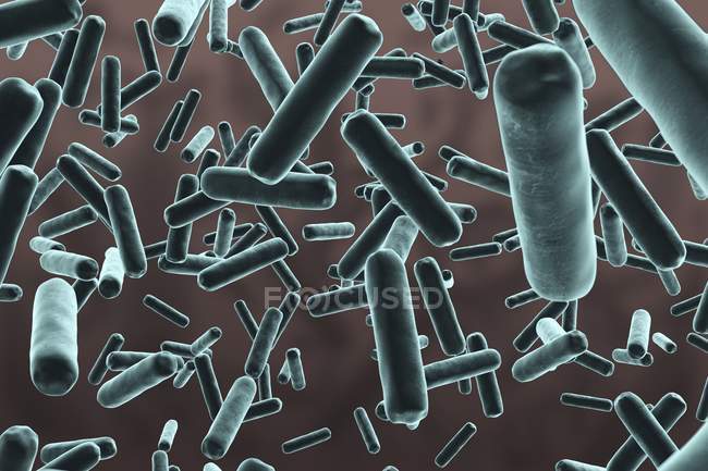 Illustration numérique de bactéries en forme de bâtonnets bleus sur fond gris . — Photo de stock