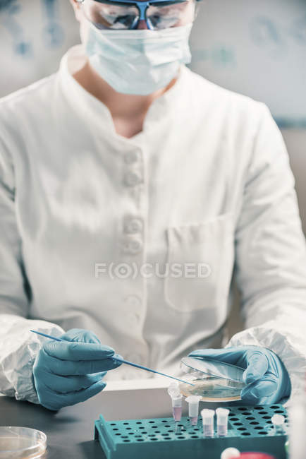 Microbiologiste féminine travaillant en laboratoire avec des éprouvettes
. — Photo de stock
