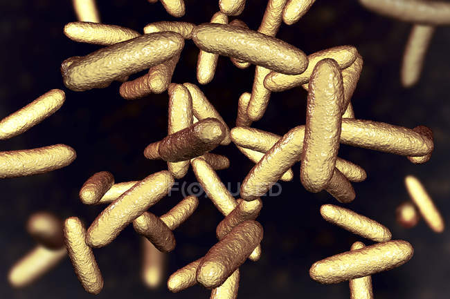 Bactérias Citrobacter amarelas em forma de bastonete, ilustração digital . — Fotografia de Stock