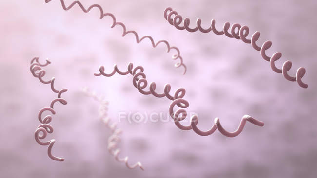 Lyme-Borreliose Bakterien, digitale Illustration. — Stockfoto