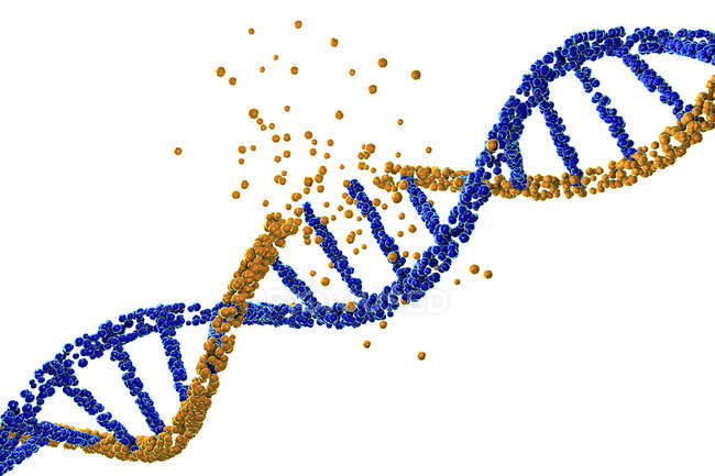 Danni colorati alla molecola di DNA giallo su sfondo bianco, disordine genetico illustrazione concettuale . — Foto stock
