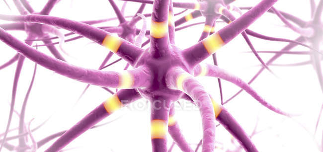 Ilustração 3d dos sinais que transmitem as células nervosas
. — Fotografia de Stock