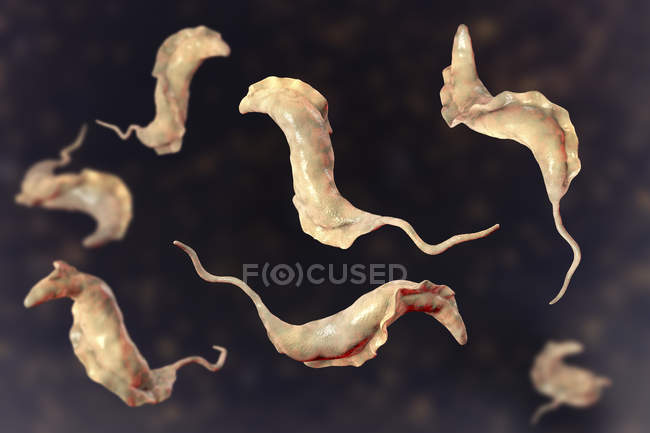 Digitale Illustration von Trypanosom-Parasiten, die die Chagas-Krankheit verursachen. — Stockfoto