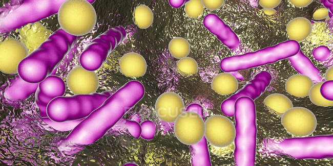 Bacterias esféricas y en forma de varilla dentro del biofilm, ilustración digital
. - foto de stock