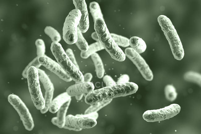 Ilustración digital de la colonia de bacterias en forma de barra
. - foto de stock