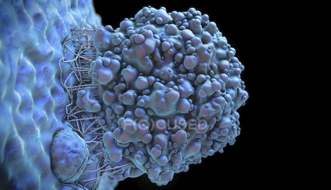 3d illustration of brain cancer cell connecting to tissue. — Stock Photo