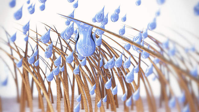 3D-Illustration von Haaren, die durch Wassertropfen nass werden. — Stockfoto
