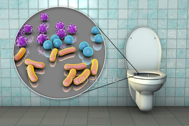 Microbios del inodoro en la superficie del asiento contaminada, ilustración digital conceptual
. - foto de stock